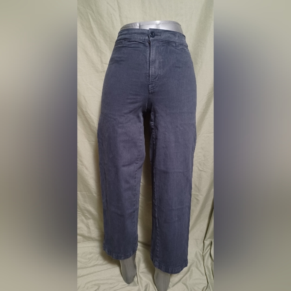 Madewell Dark Gray Emmett Wide Leg Crop Jean Slacks Pants
